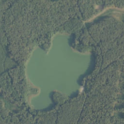 Satelita