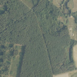 Satelita