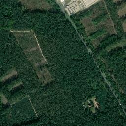 Satelita
