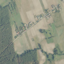Satelita