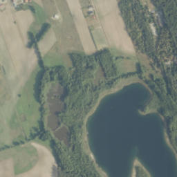 Satelita