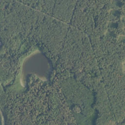 Satelita