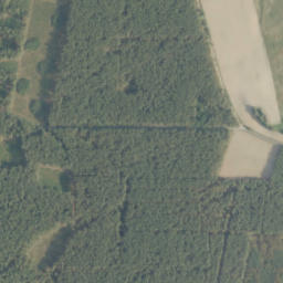 Satelita