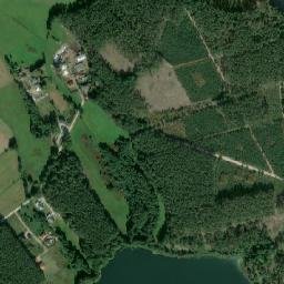 Satelita