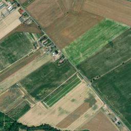Satelita