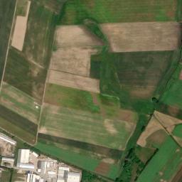 Satelita