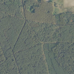 Satelita