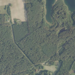 Satelita