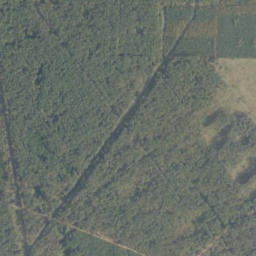 Satelita