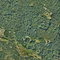Satelita