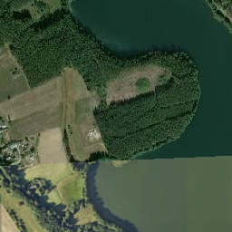 Satelita