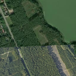 Satelita