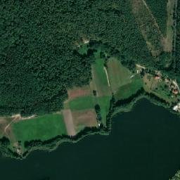 Satelita