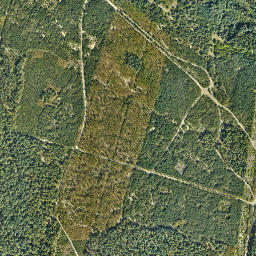 Satelita