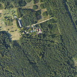 Satelita