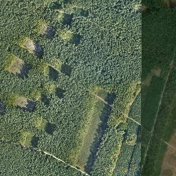 Satelita
