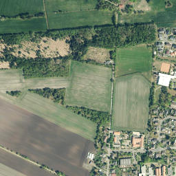 Wesendorf map(satellite map)
