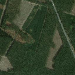 Satelita