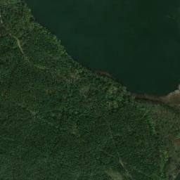 Satelita