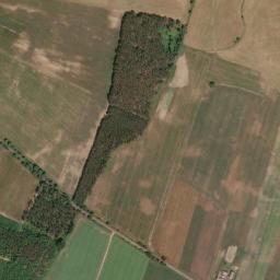 Satelita