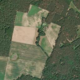 Satelita