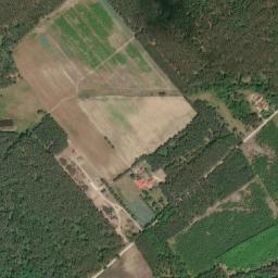 Satelita