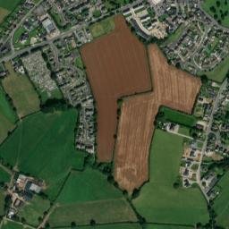Ferns map(satellite map)