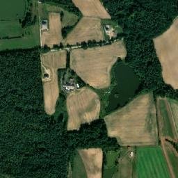 Satelita