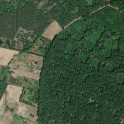 Powiat szamotulski map(satellite map)