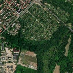 Satelita