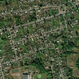 Vyetka map(satellite map)