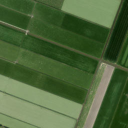 Beemster map(satellite map)