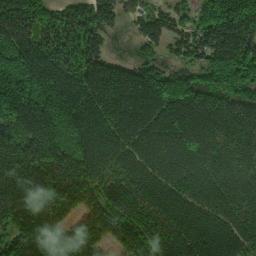 Satelita