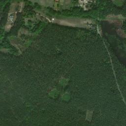 Satelita