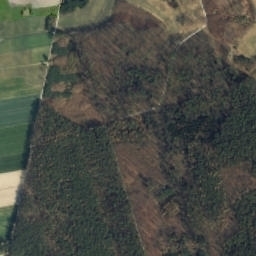 Satelita