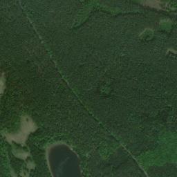Satelita
