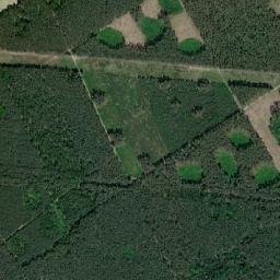 Satelita