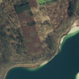 Satelita