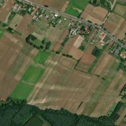 Satelita