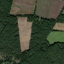 Satellite view of Burgdorfer Golfclub