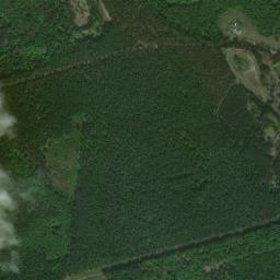 Satelita