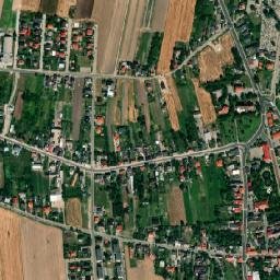 Kowal map(satellite map)