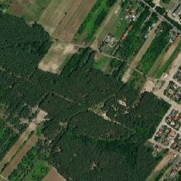 Satelita