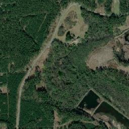 Satelita