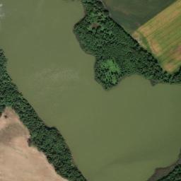 Satelita