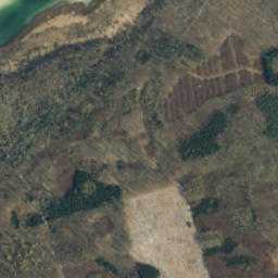 Satelita