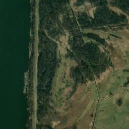 Satelita