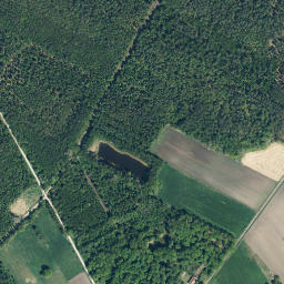 Sassenburg map(satellite map)