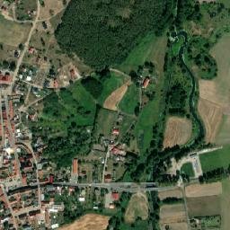 Bledzew map(satellite map)