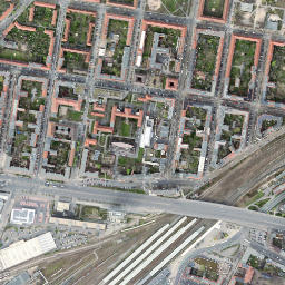Lichtenberg map(satellite map)